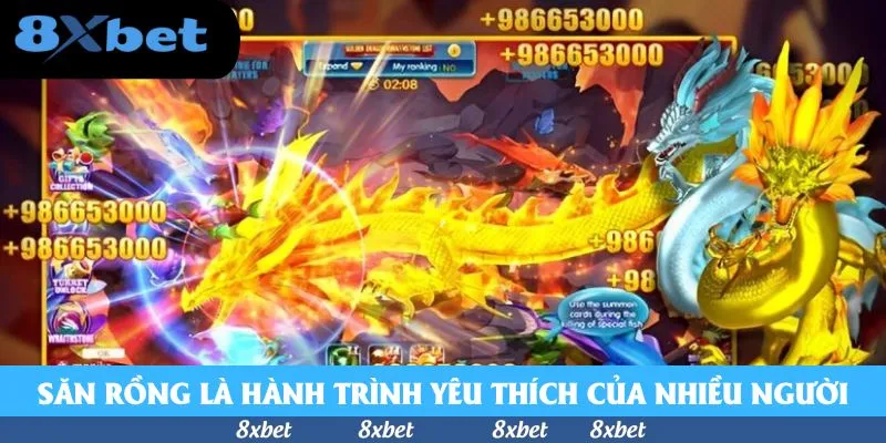 Săn Rồng trong đại dương là hành trình yêu thích của nhiều người